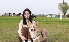 free from 日本在线